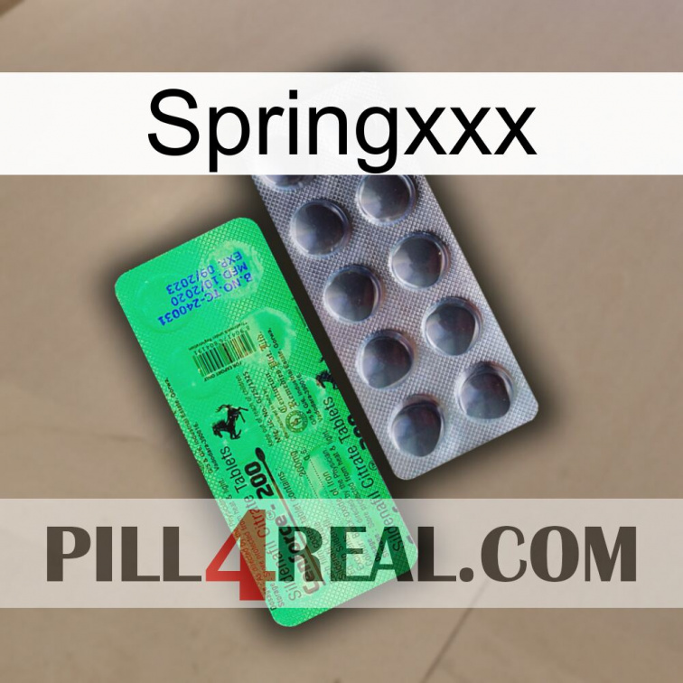 Springxxx new04